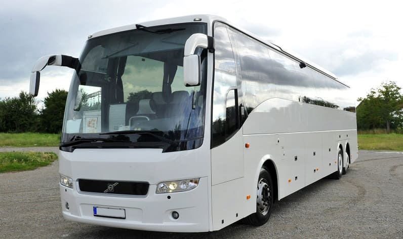 Germany: Buses agency in Germany in Germany and Rhineland-Palatinate
