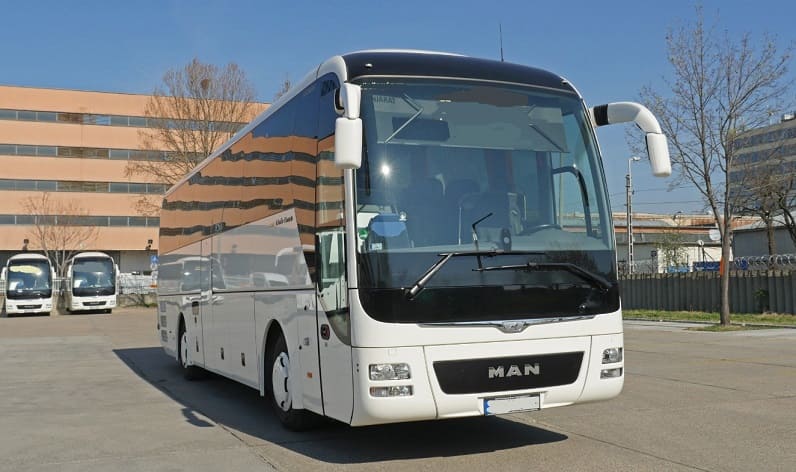 Baden-Württemberg: Buses operator in Ulm in Ulm and Germany