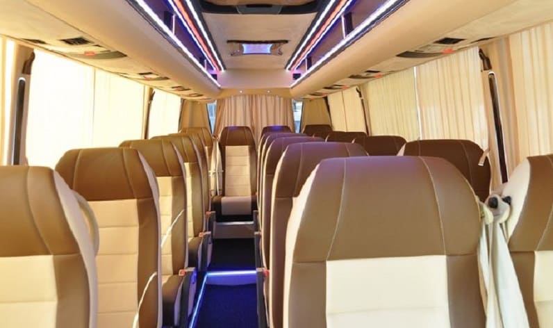 Germany: Coach reservation in Baden-Württemberg in Baden-Württemberg and Ulm
